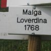 foto 002